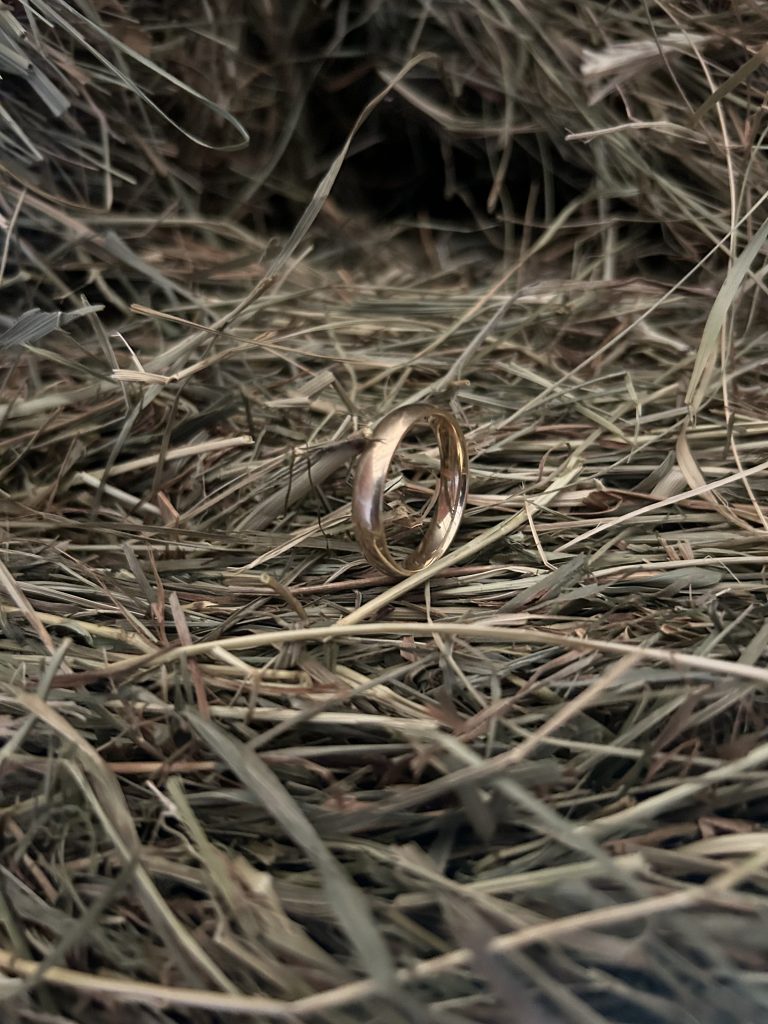 jerseyshore lost ring finder