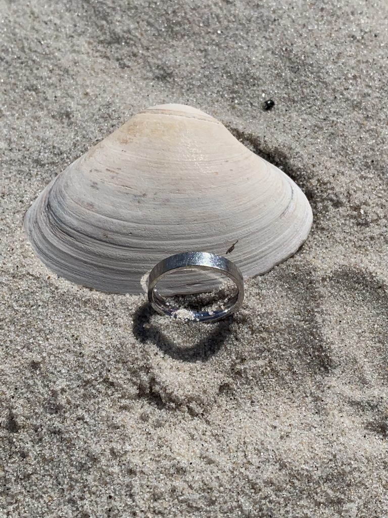 lost ring lbi jersey shore metal detector rental