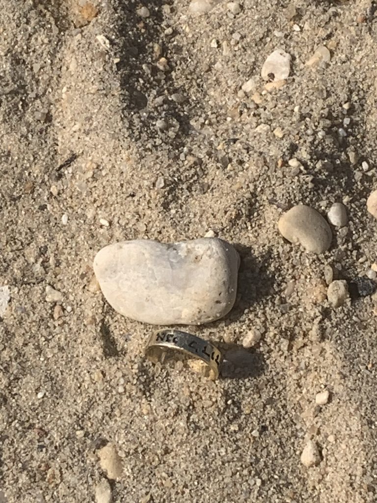 lost ring in water lbi ring finder