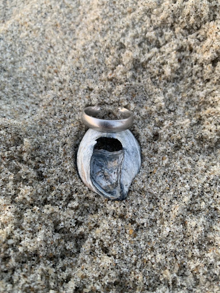 metal detector near me